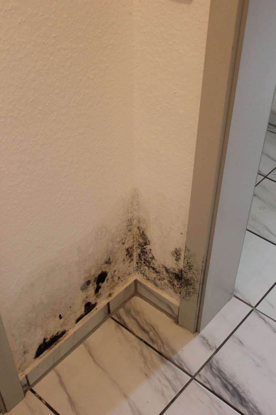 Schimmelbefall in einer Zimmerecke